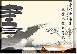 查看详情