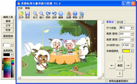 查看详情